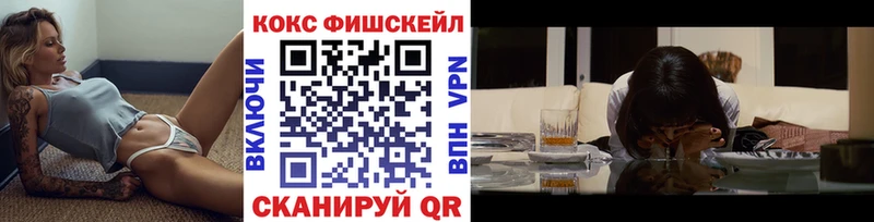 Cocaine Fish Scale  Купить закладки  Аша 